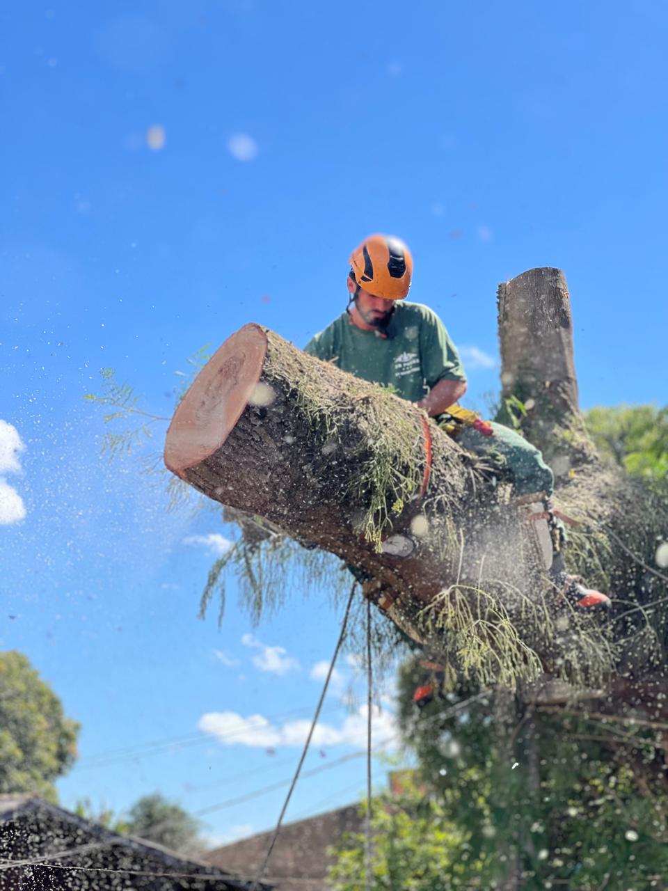 Trabalho concluído com sucesso